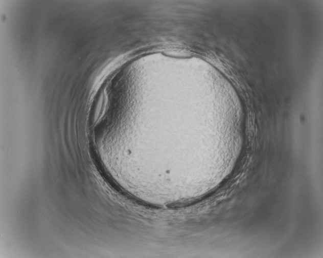 X0000058130007200510171348