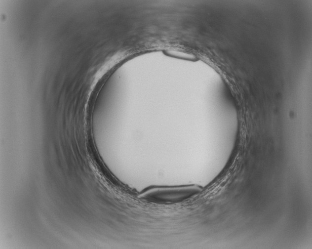 X0000058130008200510171348