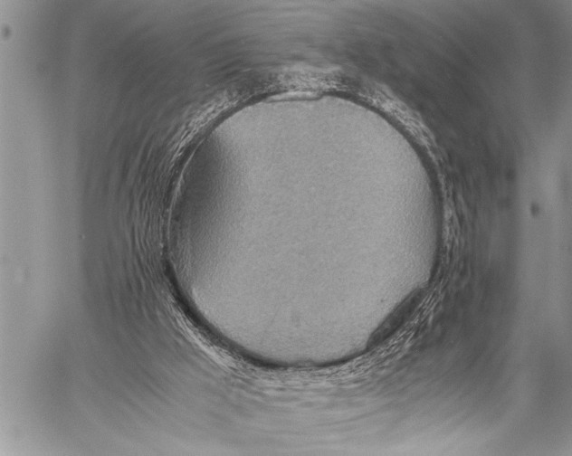 X0000058130009200510171348