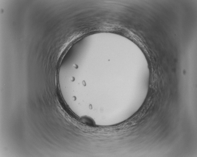 X0000058130011200510171348