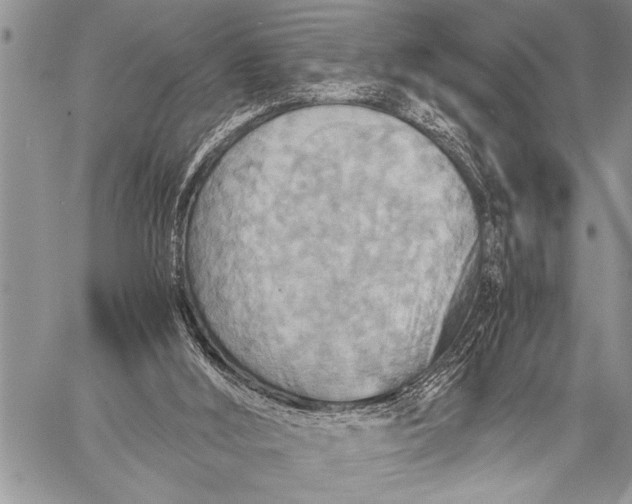 X0000058130012200510171348