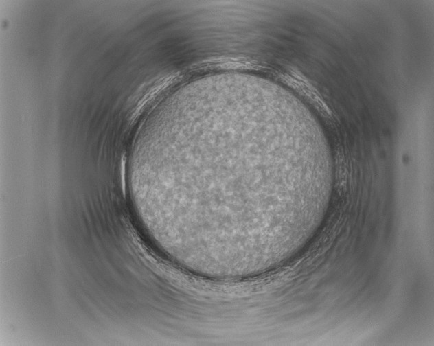 X0000058130014200510171348