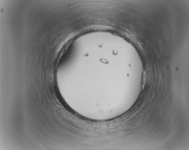 X0000058130015200510171348