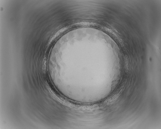 X0000058130016200510171348