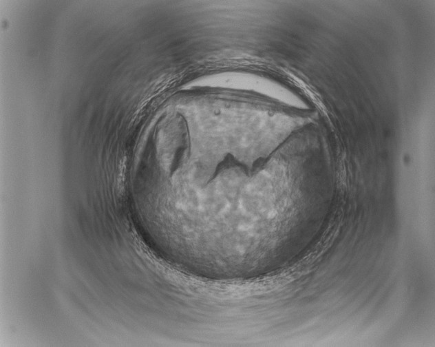 X0000058130018200510171348