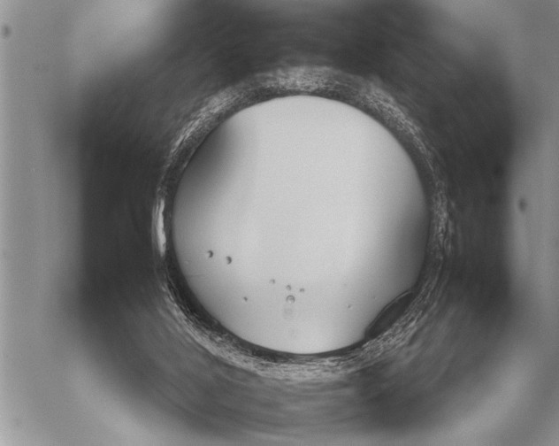 X0000058130020200510171348