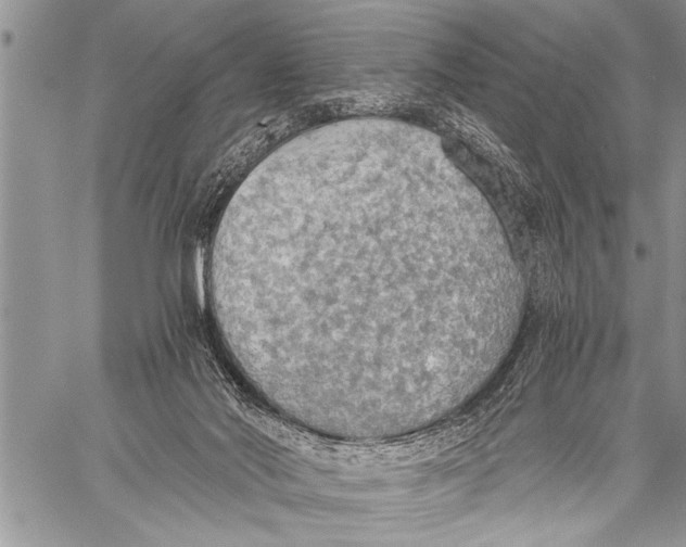 X0000058130022200510171348