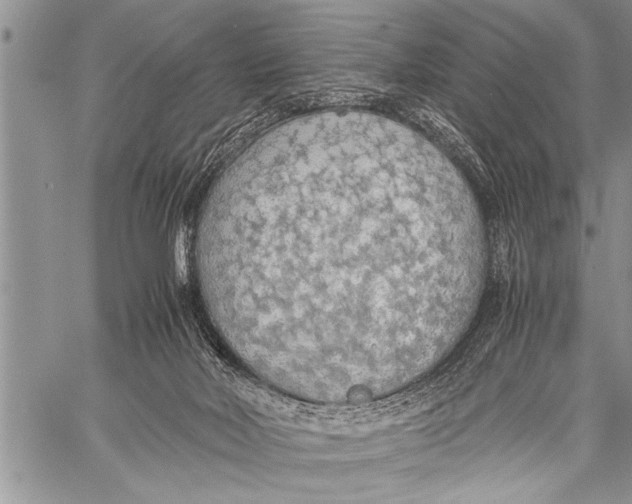 X0000058130026200510171348