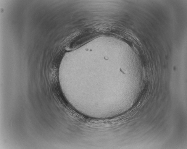 X0000058130029200510171348