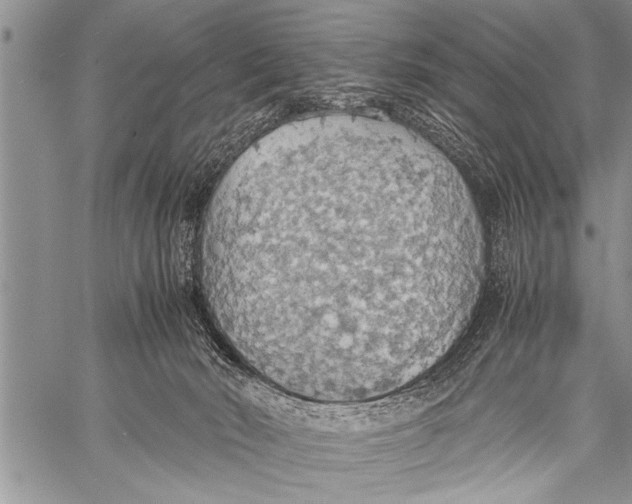 X0000058130030200510171348