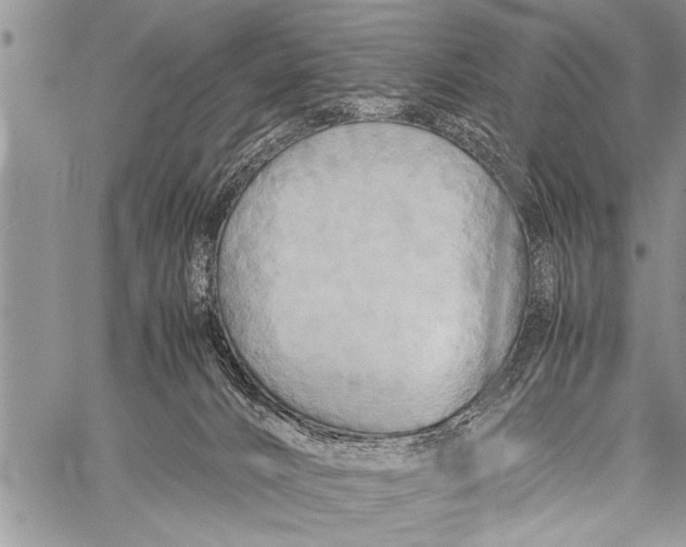 X0000058130032200510171348