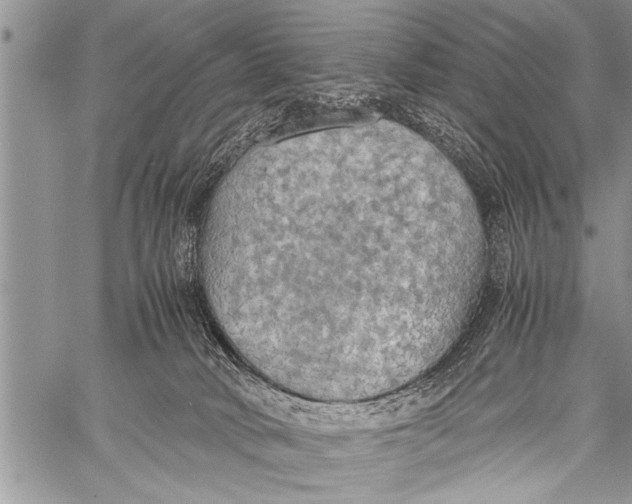 X0000058130034200510171348