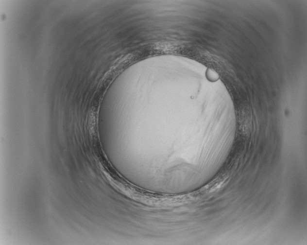 X0000058130036200510171348