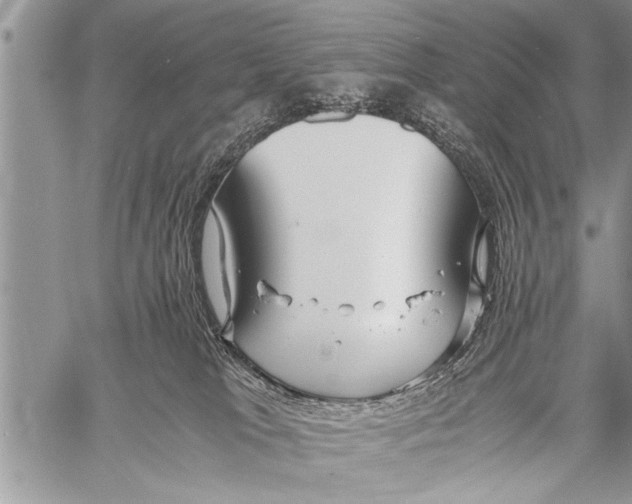 X0000058130037200510171348