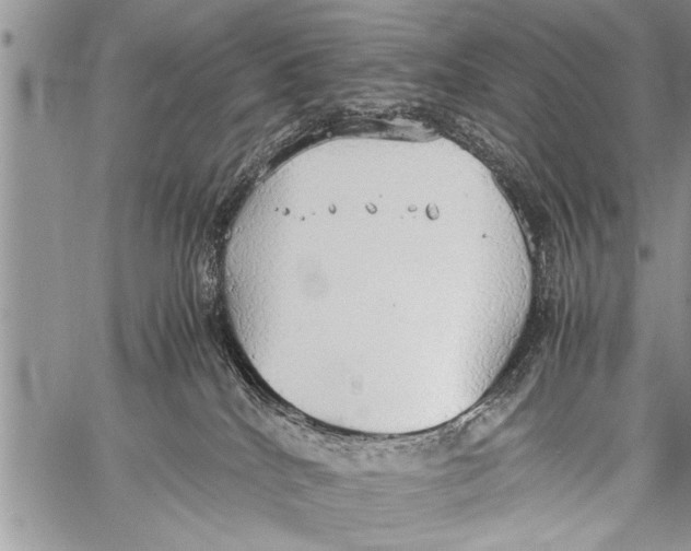 X0000058130040200510171348