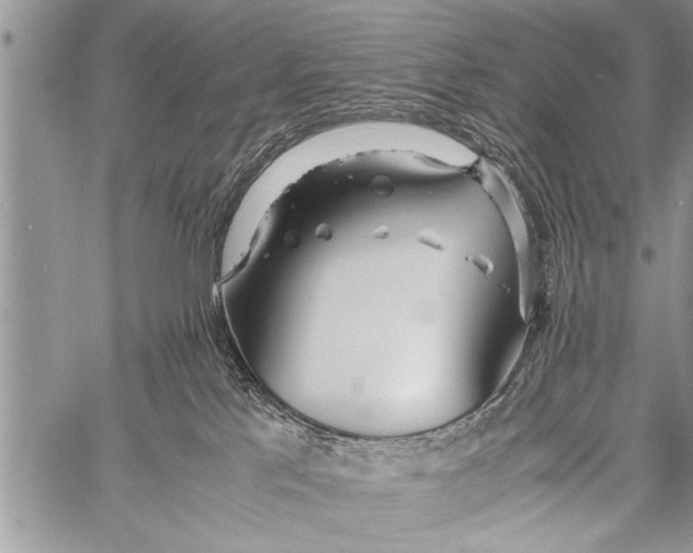 X0000058130041200510171348