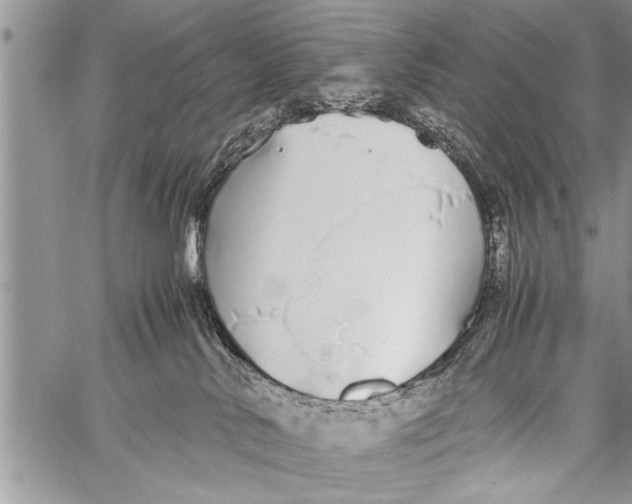 X0000058130042200510171348