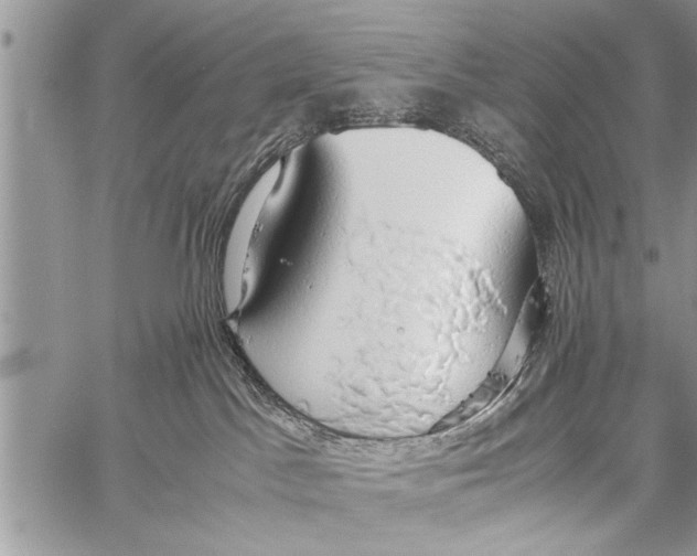 X0000058130045200510171348