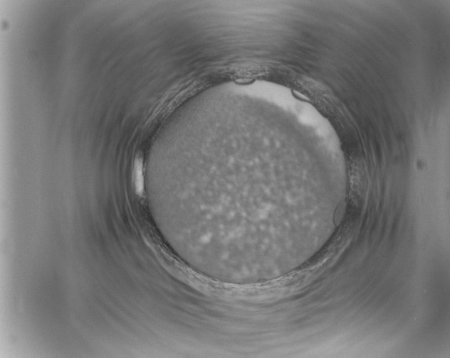 X0000058130046200510171347