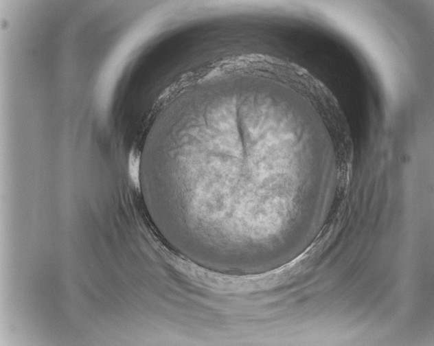 X0000058130047200510171347