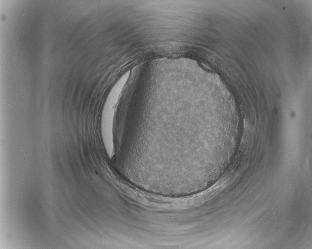 X0000058130048200510171347