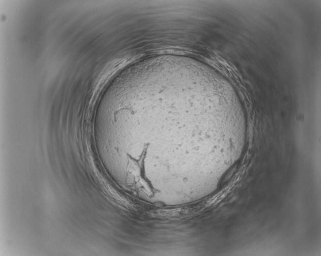 X0000058130049200510171347