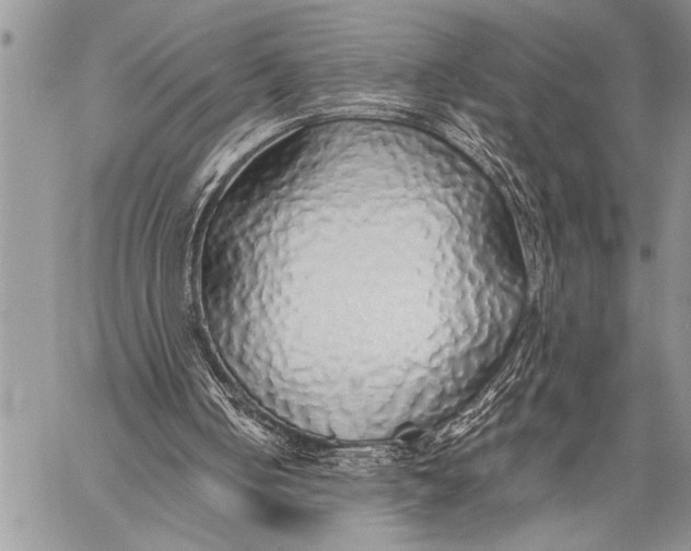 X0000058130050200510171347