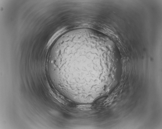 X0000058130051200510171347