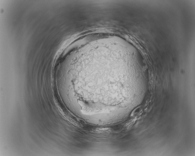 X0000058130055200510171347