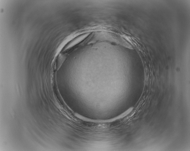 X0000058130056200510171347