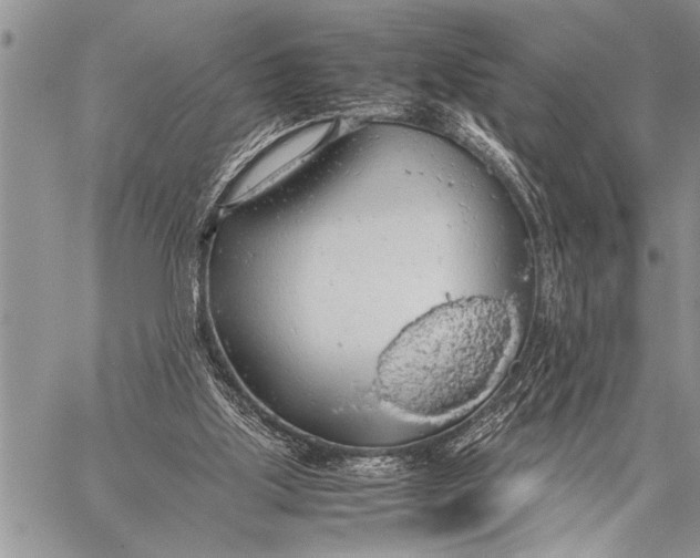 X0000058130059200510171347