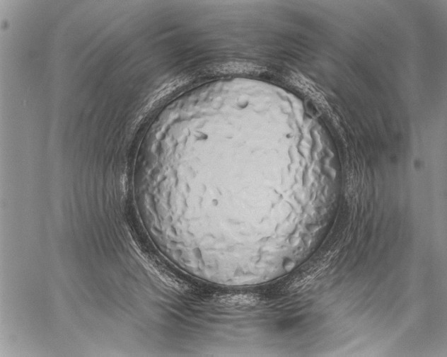 X0000058130063200510171347