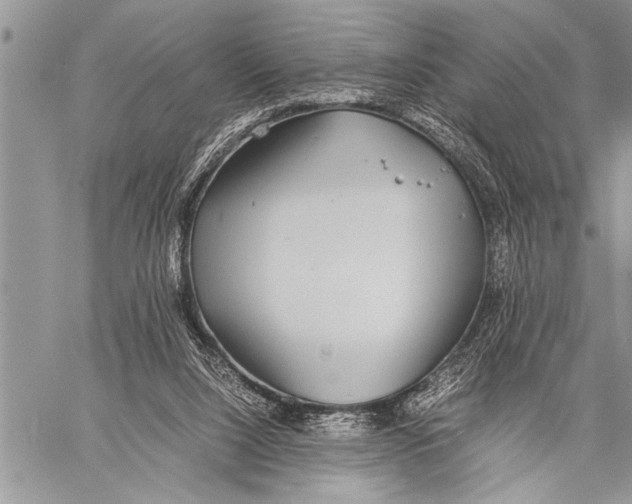 X0000058130064200510171347