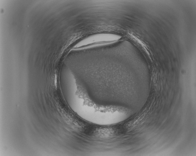 X0000058130067200510171347