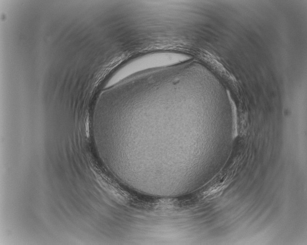 X0000058130068200510171347