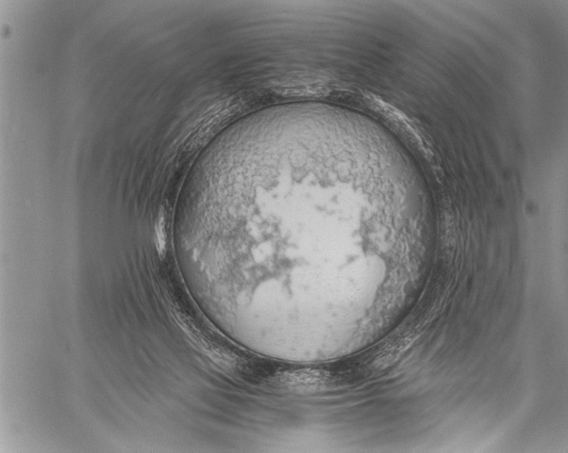 X0000058130069200510171347