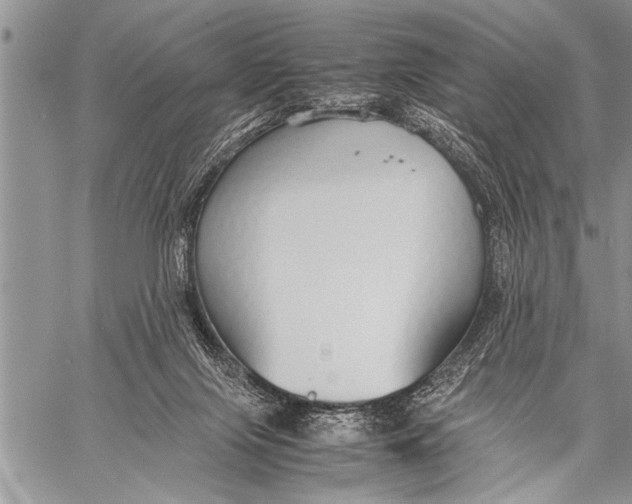 X0000058130071200510171347