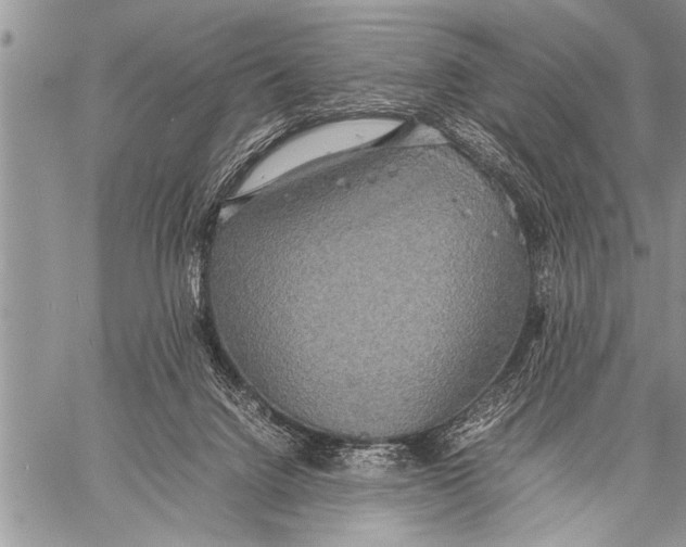 X0000058130072200510171347