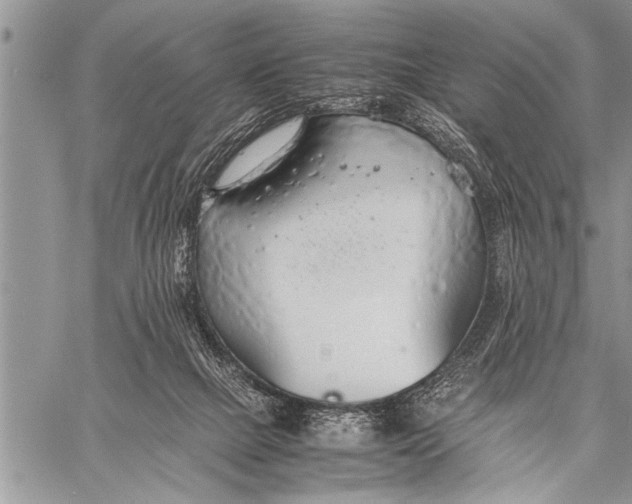 X0000058130073200510171347