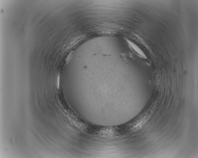 X0000058130076200510171347