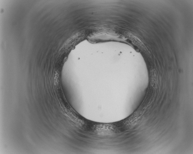 X0000058130077200510171347