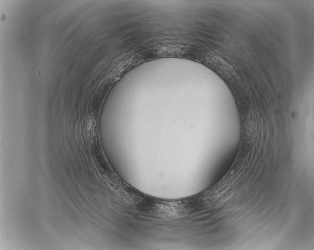 X0000058130079200510171347