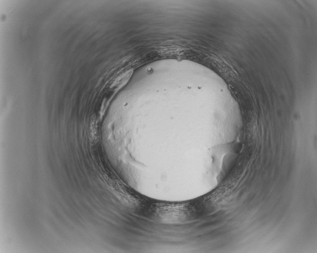 X0000058130081200510171347