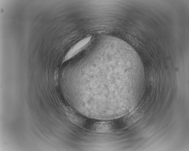 X0000058130082200510171347