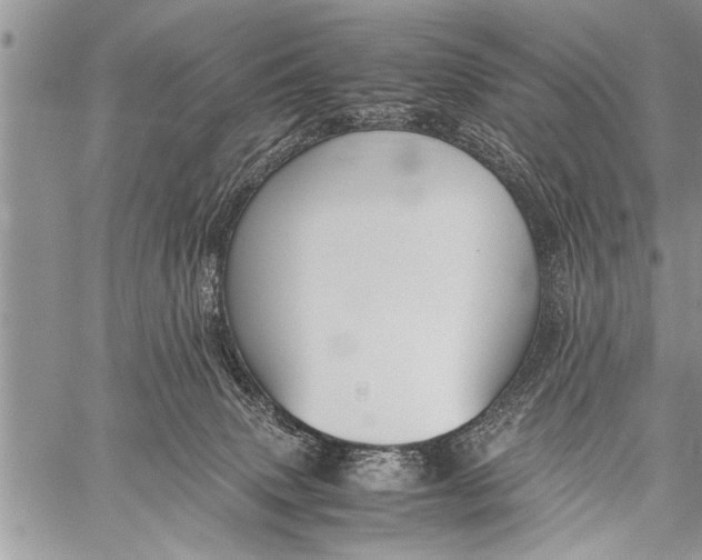 X0000058130083200510171347