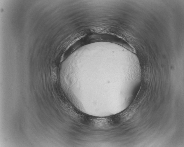 X0000058130085200510171347