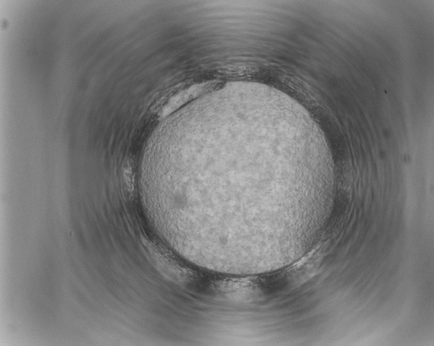 X0000058130086200510171347