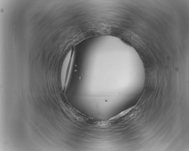 X0000058130088200510171347