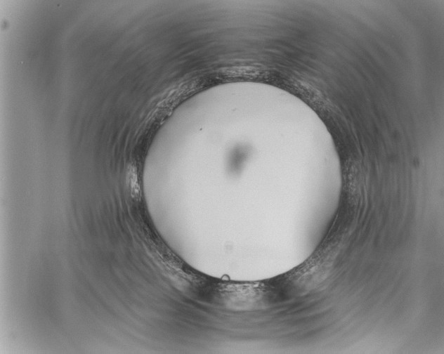 X0000058130089200510171347