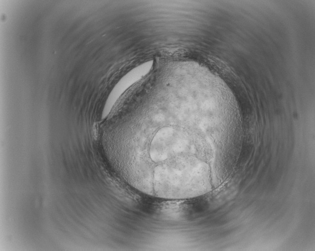 X0000058130090200510171347